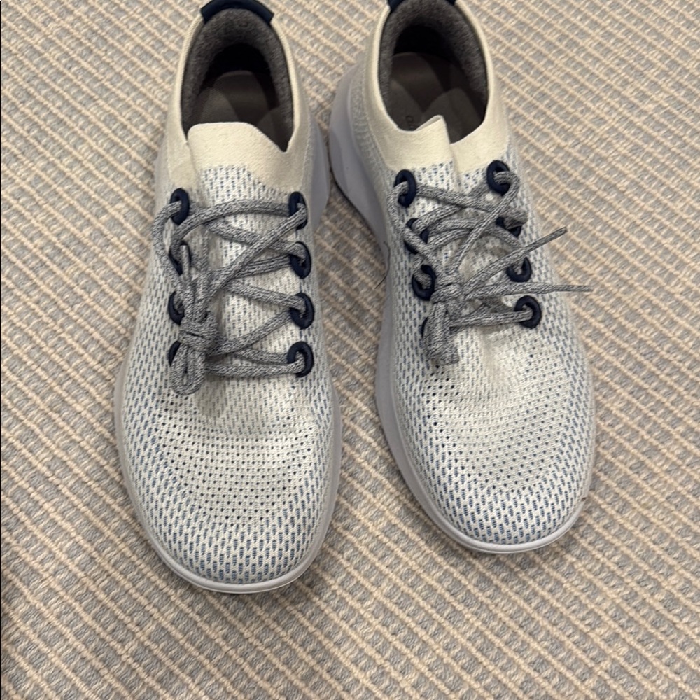 Allbirds Men's Gray Sneakers